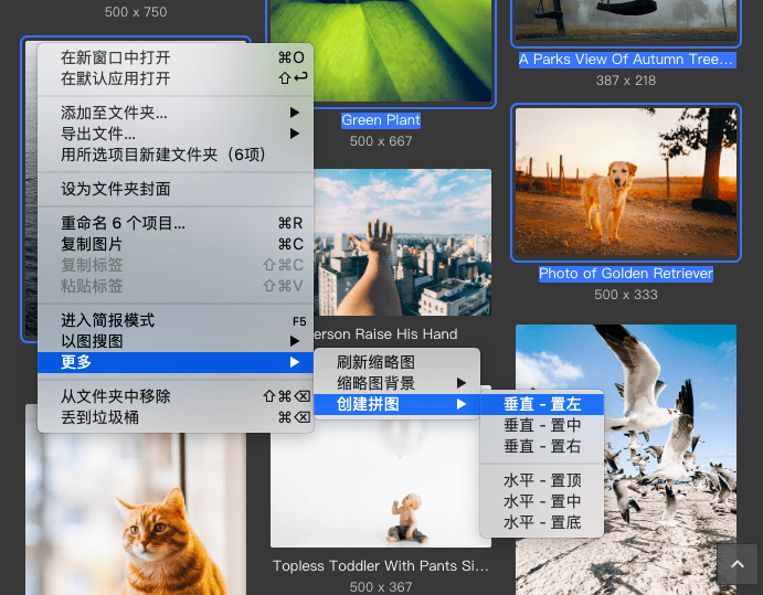 图 5
